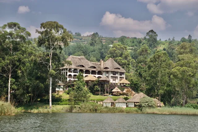 BirdNest Resort